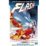 Flash 3: Ranaři vracejí úder - Joshua Williamson – Hledejceny.cz