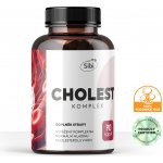 Cholest Komplex Houbové Extrakty 90 kapslí 500 mg – Hledejceny.cz