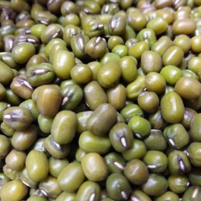 Mungo fazole na microgreens, 100 g