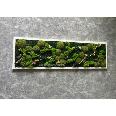 Mia Moss decoration - MECHOVÝ OBRAZ 100X30 – Zboží Mobilmania