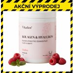 Vitaden Beauty Kolagen & Hyaluron 666 g – Hledejceny.cz