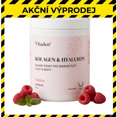 Vitaden Beauty Kolagen & Hyaluron 666 g – Hledejceny.cz