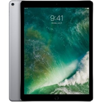 Apple iPad Pro Wi-Fi 256GB Space Gray MP6G2FD/A