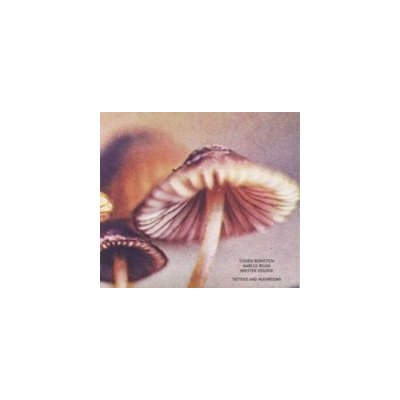 Kresten Osgood - Tatoos And Mushrooms / Steven Bernstein / Marcus Rojas – Zboží Mobilmania