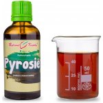 Bylinné kapky Pavlovy Pyrosie TCM tinktrura 50 ml – Hledejceny.cz