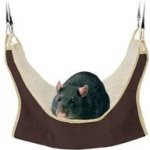 Trixie Závěsné odpočívadlo pro krysy a fretky 30 x 30 cm – Zboží Mobilmania