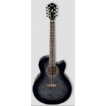 IBANEZ AEL 207E TKS – Zboží Mobilmania