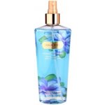 Victoria´s Secret Aqua Kiss tělový sprej 250 ml – Hledejceny.cz