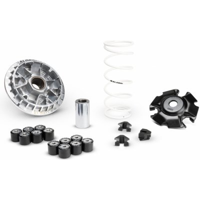 Variátor MALOSSI Multivar 2000, Honda PCX 125 od 2021 (nový typ) 5120067 | Zboží Auto