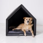 HobbyDog Pelíšek – Hledejceny.cz