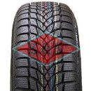 Osobní pneumatika Dayton DW510 205/55 R16 91T