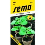 Tykev FÍKOLISTÁ roubovací SM – Sleviste.cz