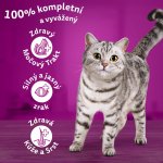 Whiskas Adult hovězí 1,4 kg – Hledejceny.cz