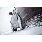 Nokian Tyres WR D4 205/50 R16 91H – Hledejceny.cz