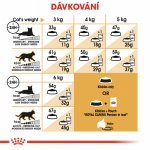 Royal Canin Persian Adult 4 kg – Zboží Mobilmania