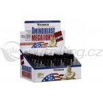 Weider Amino Blast Mega Forte 500 ml – Zboží Mobilmania