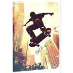 STUDENT Školní diář Skate 2025/26 – Sleviste.cz