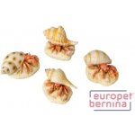 Europet Bernina Aqua Della Hermit Crab mix 9,3x6x4,9 cm – Zbozi.Blesk.cz