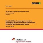 Sustainability at mega-sport events in developing countries on the example of the 2010 FIFA World Cup South Africa – Hledejceny.cz
