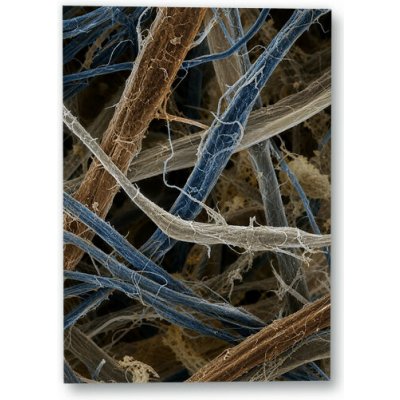 Plakát – Propletená mikroskopická vlákna 49 × 70 cm Bez rámu Ne Bez rámu – Hledejceny.cz