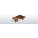Health link Raw Bio Nepražené kakaové boby 250 g