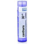 BRYONIA POR 30CH GRA 1X4G – Hledejceny.cz
