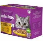 Whiskas 1+ Ragout drůbeží výběr jelly 48 x 85 g – Hledejceny.cz