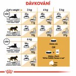 Royal Canin Persian Adult 10 kg – Zbozi.Blesk.cz