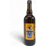 KOCOUR 11 CATFISH SUMEČEK 4,4% 1 l (PET) – Sleviste.cz