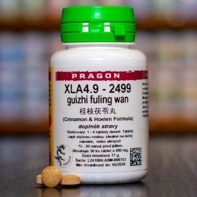 Pragon XLA4.9 2499 36 tablet – Hledejceny.cz