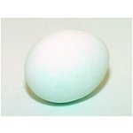 DELIKA-PET Podkladek pro slepice Vajíčko – Zbozi.Blesk.cz