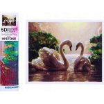 Norimpex Diamantové malování Labutí píseň 30 x 40 cm – Sleviste.cz