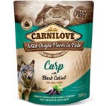 Carnilove Paté Carp with Black Carrot 300 g – Zboží Mobilmania