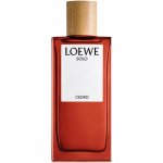 Loewe Solo Cedro toaletní voda pánská 100 ml – Hledejceny.cz