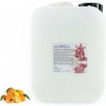 PM Aqualog esence do parních kabin citrus 813-005/D 5 l – Hledejceny.cz