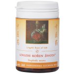 TCM Herbs Lingzhi Kořen života 200 Ganoderma 30 g práškového extraktu – Hledejceny.cz