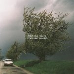 Cold Cold Nights - Last Summer CD – Hledejceny.cz