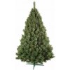 Vánoční stromek Aga BOROVICE 160 cm