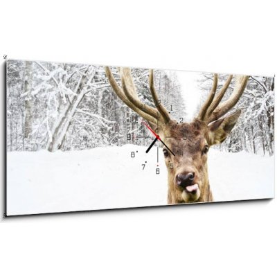 Obraz s hodinami 1D panorama - 120 x 50 cm - Deer with beautiful big horns on a winter country road Jelen s krásnými velkými rohy na zimní venkovské cestě