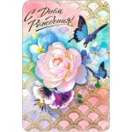 Pohlednice Narozeniny – Sleviste.cz