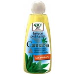 BC Bione Cosmetics Bio Cannabis šampon na vlasy proti lupům 260 ml – Hledejceny.cz