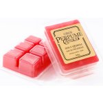 Czech Perfume Candle Aroma vosk Den v Džungli 65 g – Zboží Dáma