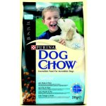 Purina Dog Chow Puppy/Junior Lamb & Rice 14 kg – Hledejceny.cz