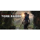 Shadow of the Tomb Raider (Definitive Edition)