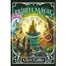 Príbeh mágie - Chris Colfer