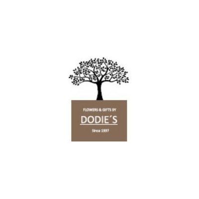 Dodie's Vonný olej Santalového dřevo 10 ml – Hledejceny.cz