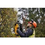 DeWALT DCMHT563P1 – Zboží Dáma