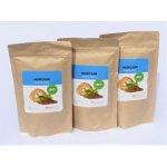 MycoMedica Hericium prášek BIO 3 x 100 g – Hledejceny.cz