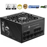 MSI MPG A850GS PCIE5 850W 306-7ZPFZ11-CE0 – Zboží Živě
