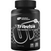 Unlimited Performance UP Tribulus Terrestris Synergy 150 cps